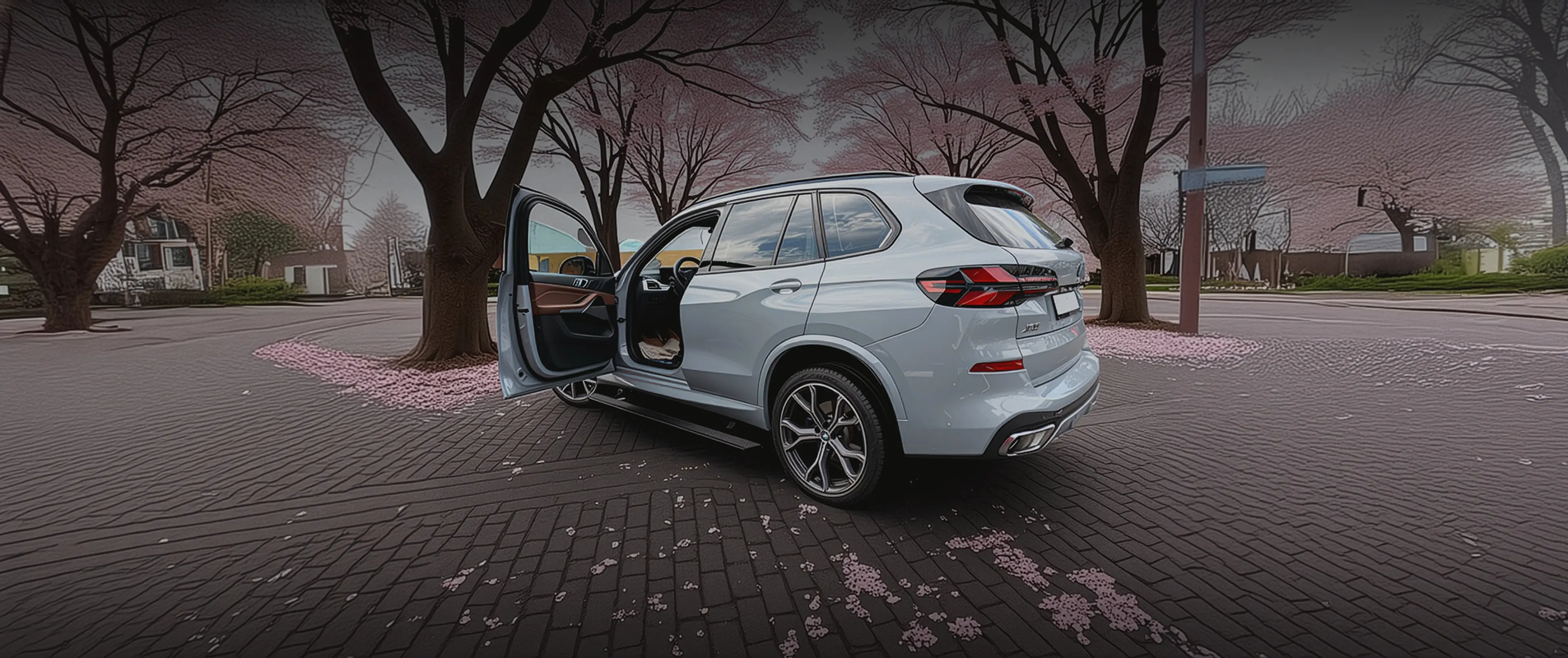 Electric side steps BMW X5 G05