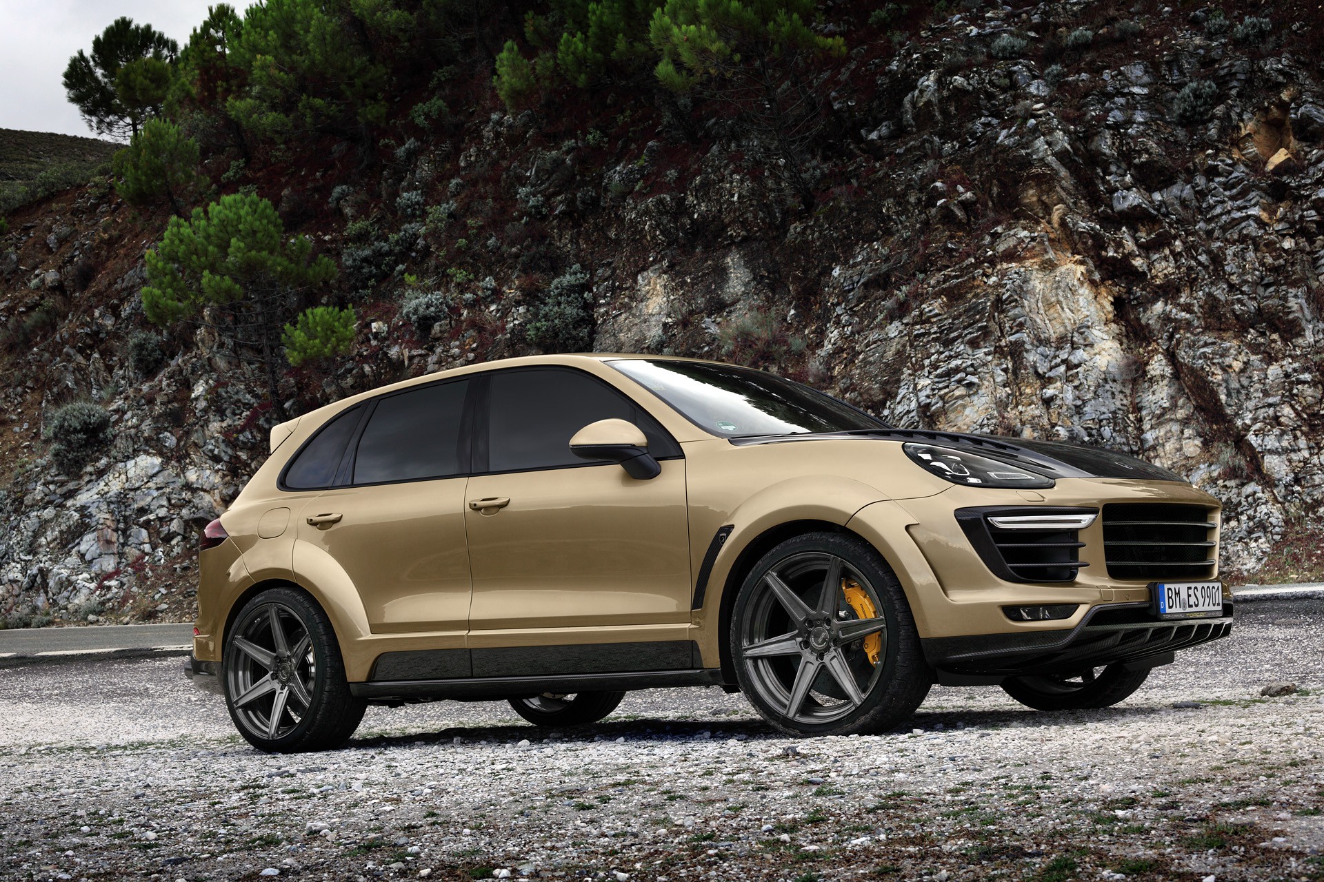 Cayenne TopCar GT (958.2) - gallery 3
