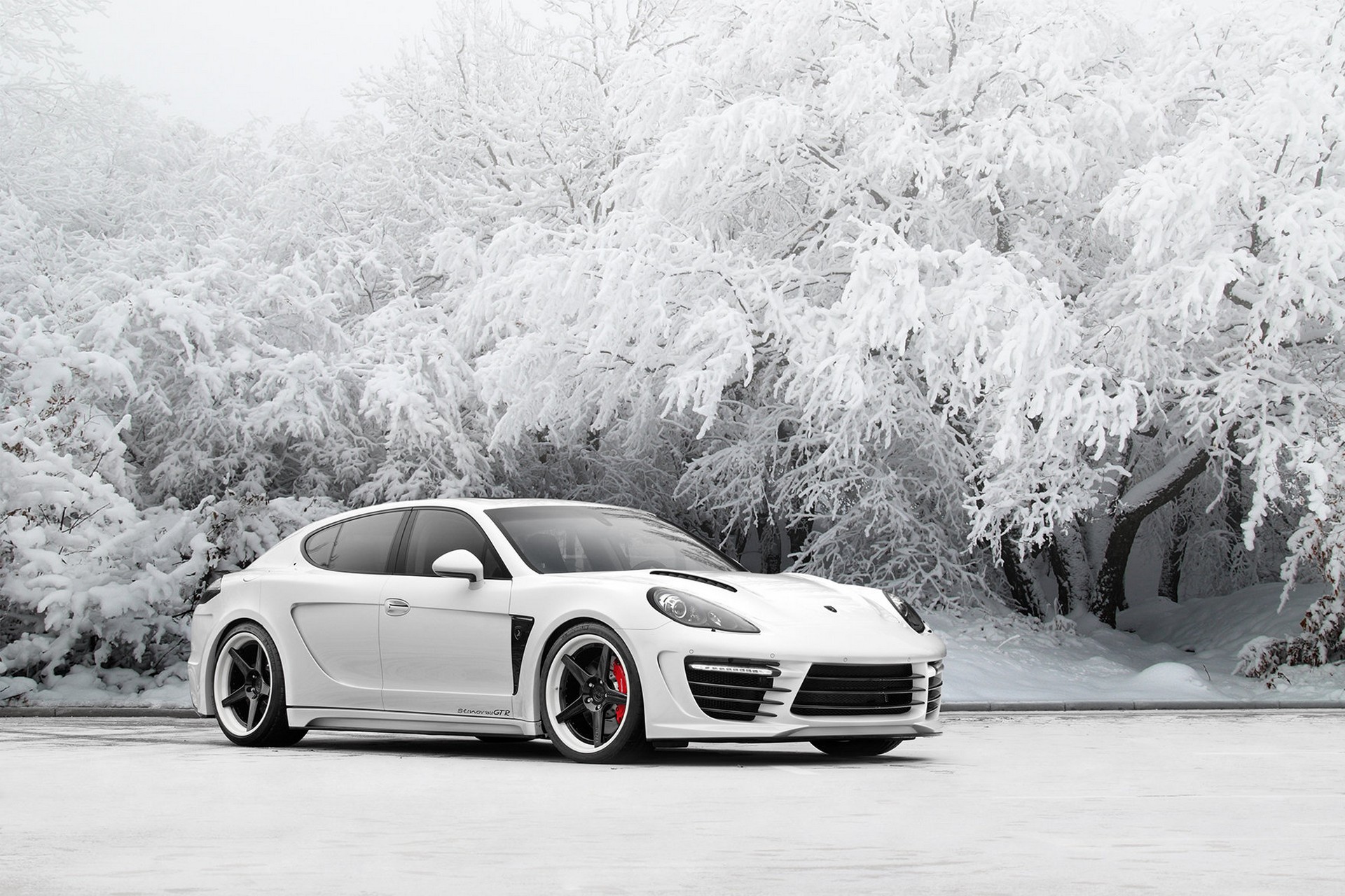Panamera GTR Edition - gallery 15