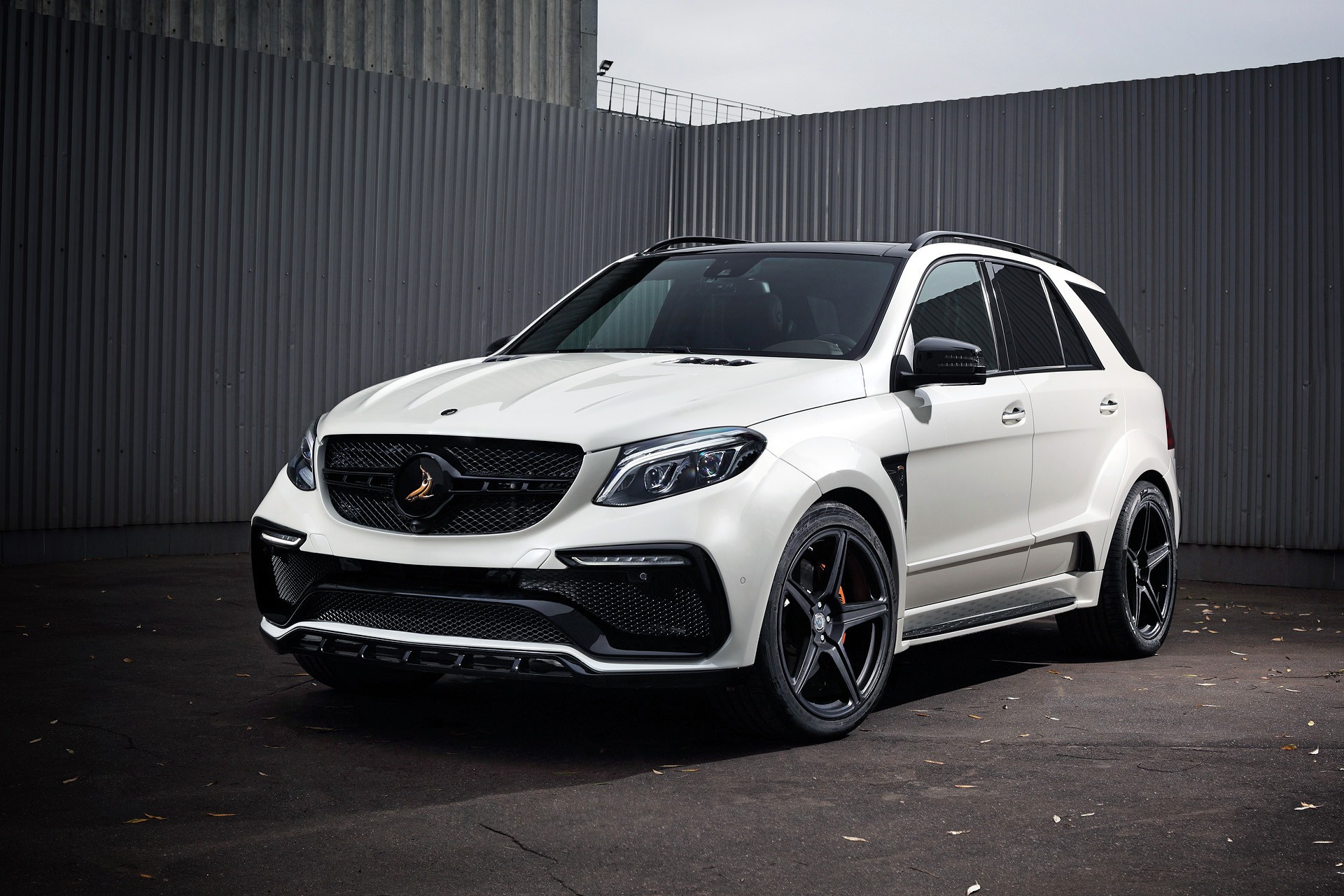 GLE Wagon INFERNO - gallery 10