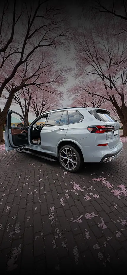 Electric side steps BMW X5 G05